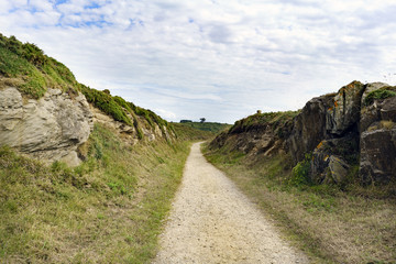 Perspective of a dirt road between rocks by the sea and with green and yellow grass and a cloudy sky