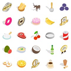 Bundle icons set, isometric style