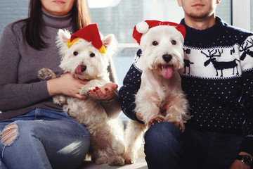 Couple hugs a West highland white Terrier