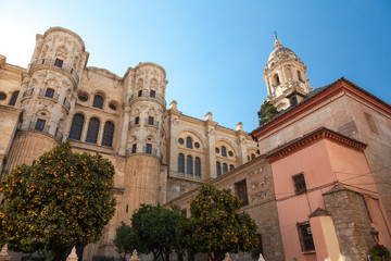 Fototapeta na wymiar Malaga Cathedral wide angle perspecitve, Andalusia, Spain