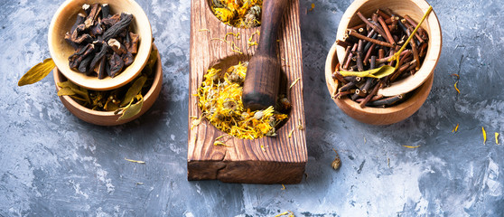 set of dried medicinal plants