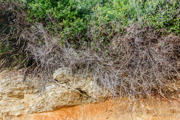 Layers of ground, erosive red soil © Roman_23203