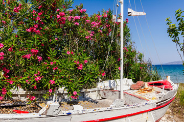 Abandoned small and aged sailboat is dry docked on the beach, weedy junk