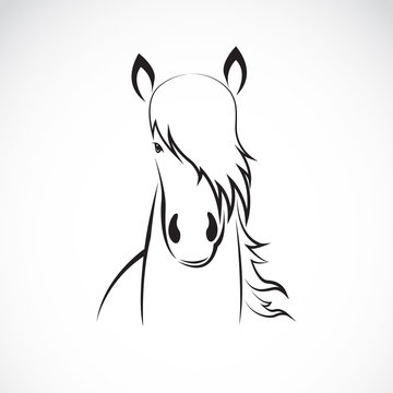 Vector of a horse head design on white background, Horse Logo. Wild Animals. Vector illustration. Icon.