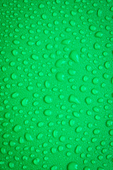 Water Drops On Green Background.