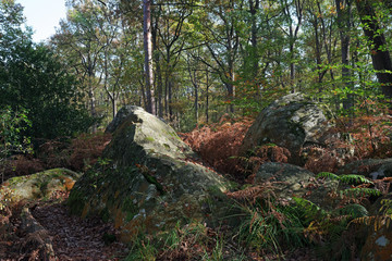 Climbing site  of  rocher canon in Fontainebleau forest