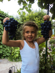 A child with grapes in his hands