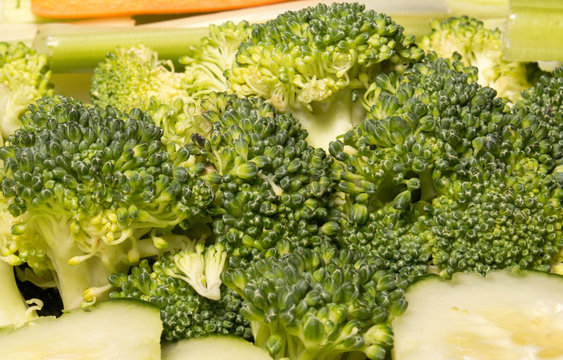 Broccoli Heads close Up 2