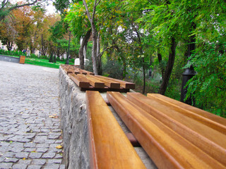 Bench in the European park in summer