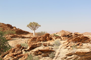 Wüstenlandschaft Namibia