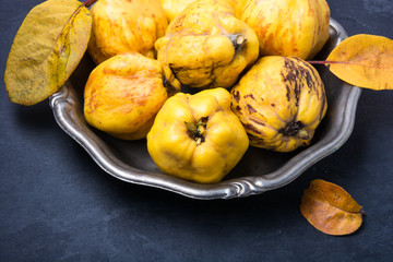 harvest of quince.