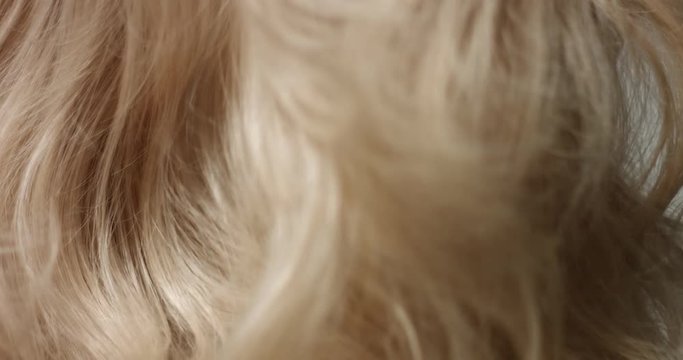 Close up video of shaking long blond wavy woman's hair
