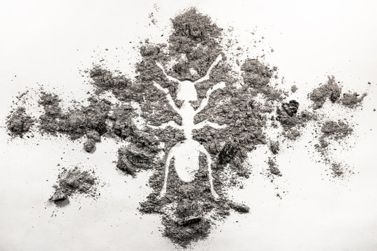 Ant or termite silhouette drawing made in ash