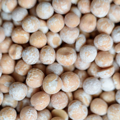 Square shot of dry pea seeds closeup, the edges of background in blur.