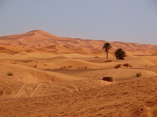 Fototapeta na wymiar Sahara dunes in Merzouga, Africa 