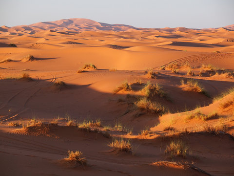 Sahara dunes in Merzouga, Africa 