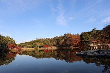 Fototapeta premium 浮見堂の秋景色