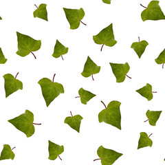light green leaves ivy seamless pattern