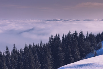 Foggy winter landscape in the mountains. View of forest hills covered by snow  and hoarfrost. 