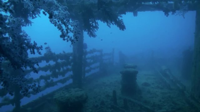 Shipwreck underwater in Red Sea Egypt. Ghost ship background of fish in the blue lagoon on coral reef. Extreme tourism.Deep diving. Terribly eerie place.