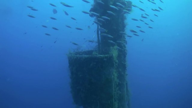 Shipwreck underwater in Red Sea Egypt. Ghost ship in blue lagoon on coral reef. Extreme tourism.Deep diving.