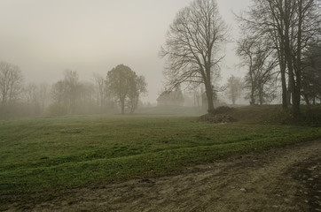 pola,  mgła  © wedrownik52