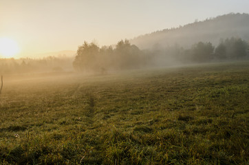 Fototapeta na wymiar pola, mgła 