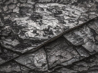 surface texture of rock layer