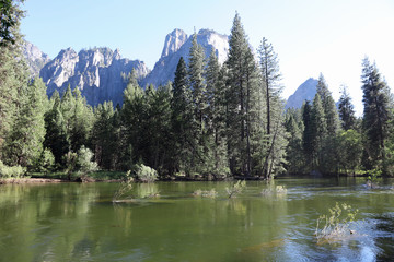 Landscape in Yosemite National Park. California. USA