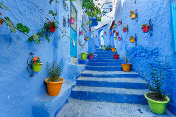 Famous Blue City Chefchauen at Morocco. Colorful flowerpots on the blue wall of old building. Travel destination concept.