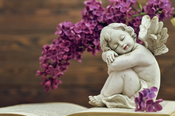 Sleeping angel and flower