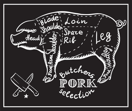 Butchers shop / Creative conceptual vector. Sketch hand drawn pork meat at butchers shop recipe illustration, chalk, ink, line art, vector.