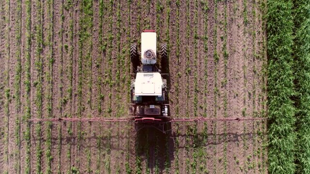 Aerial top-down footage flying above tractor spraying chemicals over young corn field mostly glyphosate is used as pre-harvest herbicide and harvest aid on crops and is used to kill weeds 4k quality