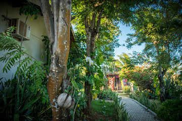 Jardim externo agradável com flores, ambiente especial para receber amigos, confraternizar, descansar. 