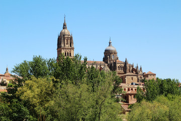 Fototapeta na wymiar New Cathedral of Salamanca, Spain 
