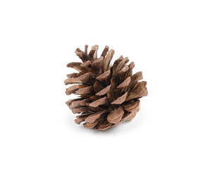 Pine cone isolated on white background (clipping path included) for Christmas decoration, holiday decorative concept