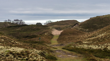 Dünenlandschaft mit Braundünen