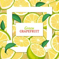 Square white frame and rectangle label on citrus green grapefruit background. Vector card illustration. Tropical fresh, juicy pomelo closely spaced background for design of packaging juice breakfast