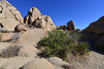 A Rocky Landscape at the Joshua tree national park.