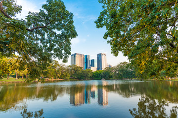 Obraz premium City public park green tree foliage with pond