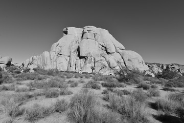 A Rocky Landscape at the Joshua tree national park.