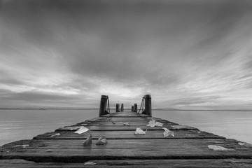 Herbststimmung am Bodensee II