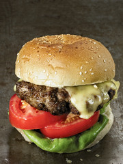 rustic american hamburger