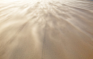 Tempête soufflant du sable sur la plage