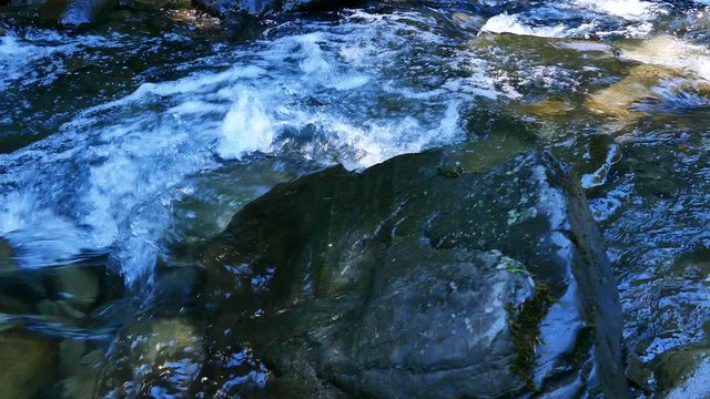 4K.Stream, river water in  summer wood with stone