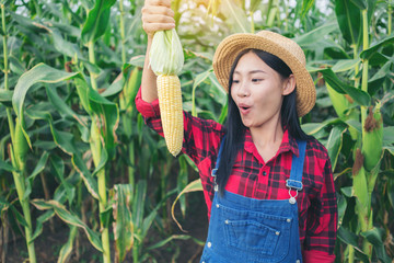 Happy farmer in the corn field