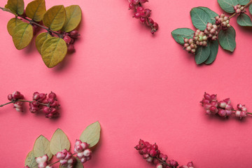Autumn decor of wild herbs and branches on a pink background.
