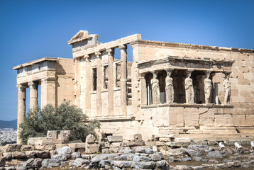 Naklejka premium The Erechtheum or temple of Poseidon on the Acropolis in Athens, the capital of Greece 