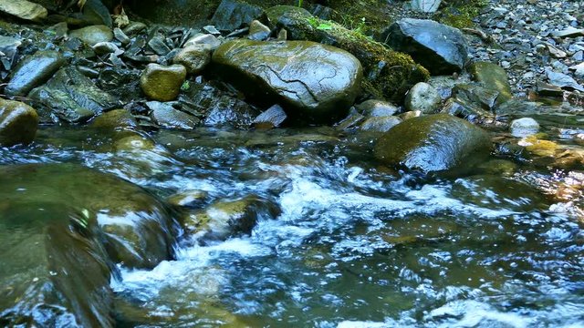 4K.Stream, river water in  summer wood with stone. Dolly shot