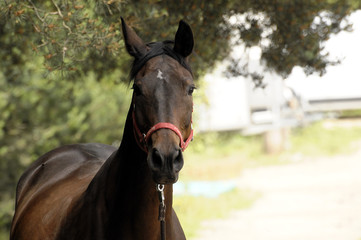 KON_8387 © Krzysztof